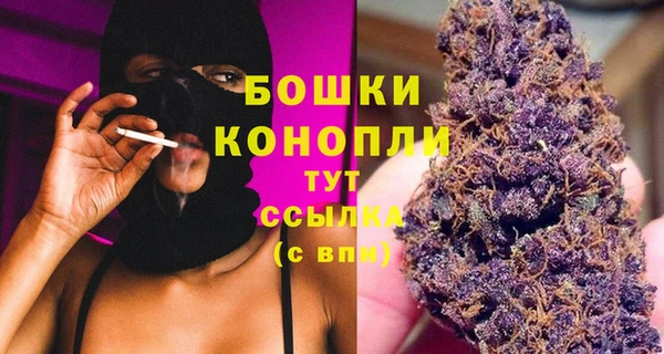 сатива Бронницы