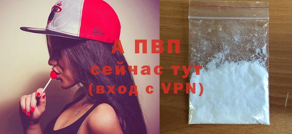 сатива Бронницы