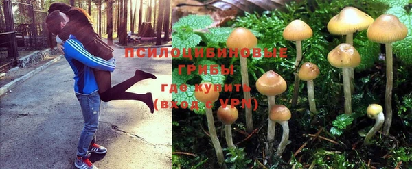 трава Бородино