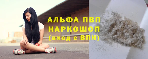 сатива Бронницы