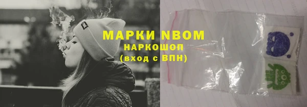 трава Бородино