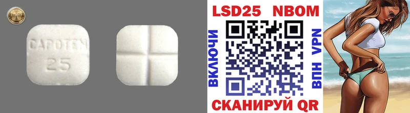 ссылка на мегу ССЫЛКА  Петровск  ЛСД экстази ecstasy 