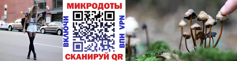 Псилоцибиновые грибы Cubensis  OMG зеркало  Петровск  купить наркотик 